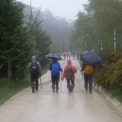 12-05-20 Ezkurra-Leitza